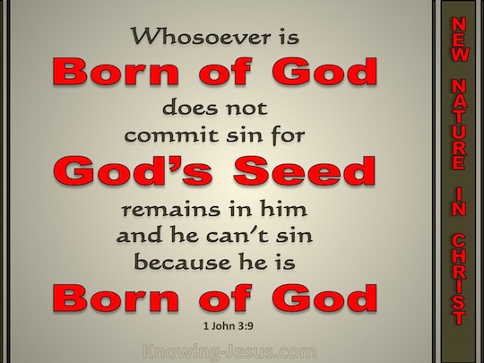 1 John 3 9 Verse Of The Day 1-john-3-9-verse-of-the-day
