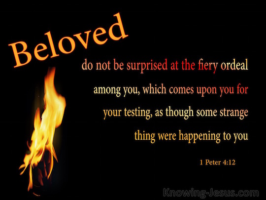 1-peter-4-12-verse-of-the-day