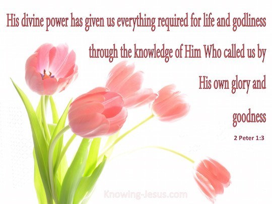 2 Peter 13 Verse of the Day