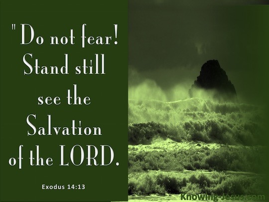 Exodus 14:13 But Moses said to the people, "Do not fear! Stand by and