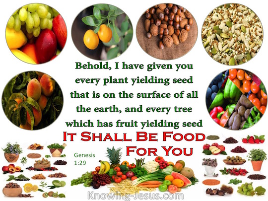 Genesis 1 29 Verse Of The Day genesis-1-29-verse-of-the-day