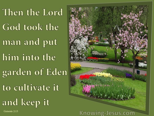 genesis chapter 2 verse 15