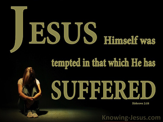Why Did Jesus Take On A Human Nature Why Did Jesus Take On A Human Nature