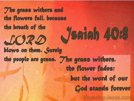 MindShifting Inspirational Quotes for Everyday Life