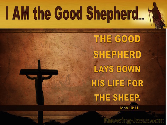 john-10-11-verse-of-the-day