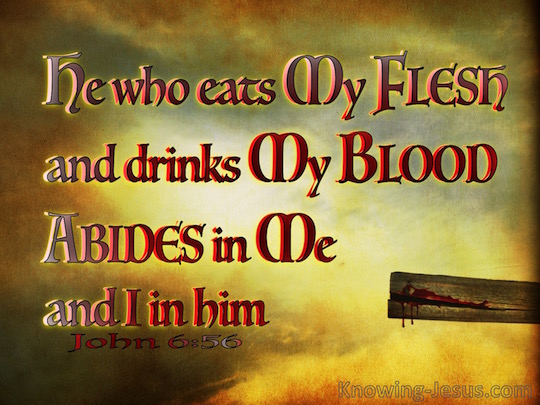 Eat My Flesh Drink My Blood Book Eat My Flesh Drink My Blood Book