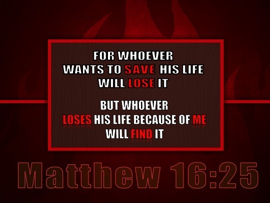 Matthew 1625 Verse of the Day
