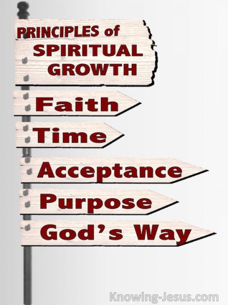 principle for biblical church growth Biblical church growth has 39 ratings and 5 reviews timmy said: strengths: - tied many well-established sociological church growth principles to their. principle for biblical church growth Biblical church growth has 39 ratings and 5 reviews timmy said: strengths: - tied many well-established sociological church growth principles to their.