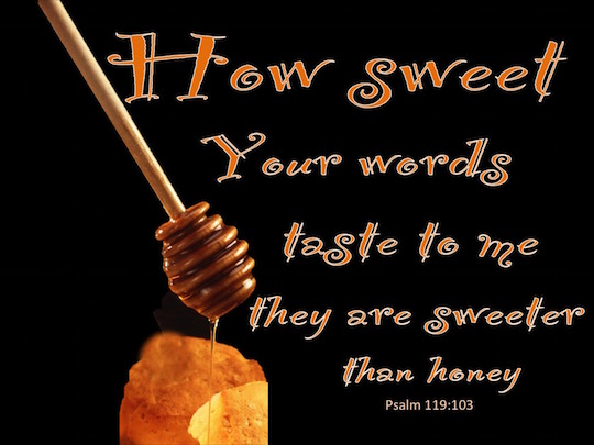 psalm-119-103-verse-of-the-day