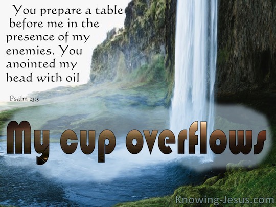 Psalm 23 c5 Verse Of The Day Psalm 23 c5 Verse Of The Day