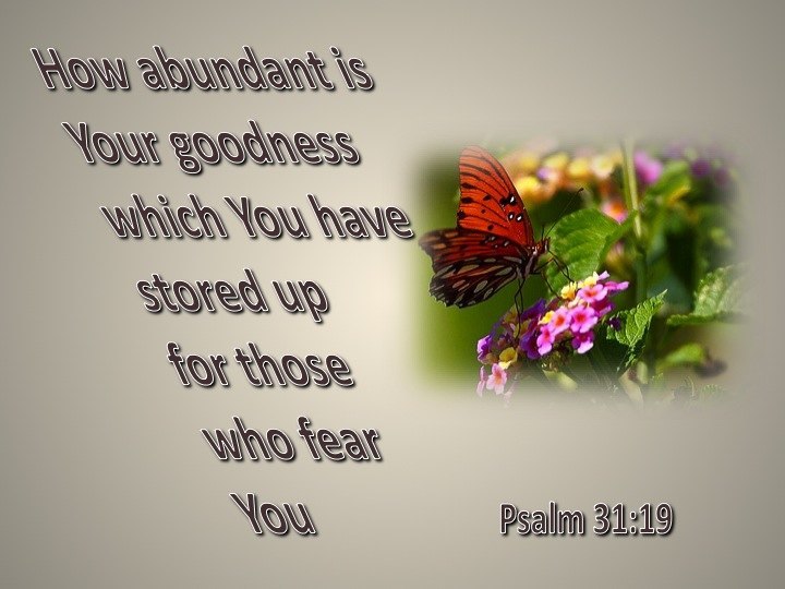 Psalm 31 19 Verse Of The Day psalm-31-19-verse-of-the-day