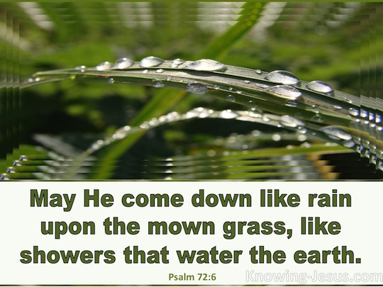Psalm 72 6 Verse Of The Day Psalm 72 6 Verse Of The Day