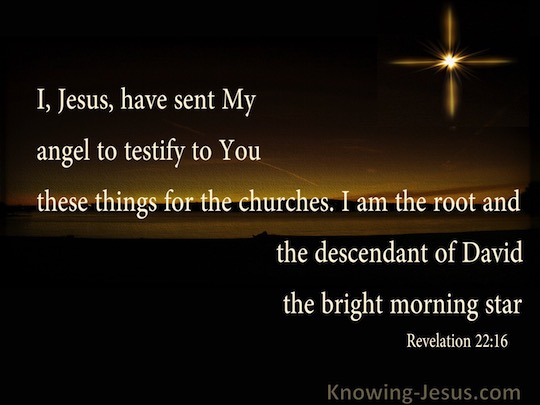 revelation david root jesus morning bright verse stem bible said angel sent omega alpha things knowing