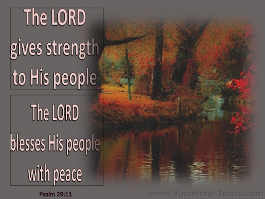 Psalm-29-11-The-Lord-Gives-Strength-gray-copy.jpg