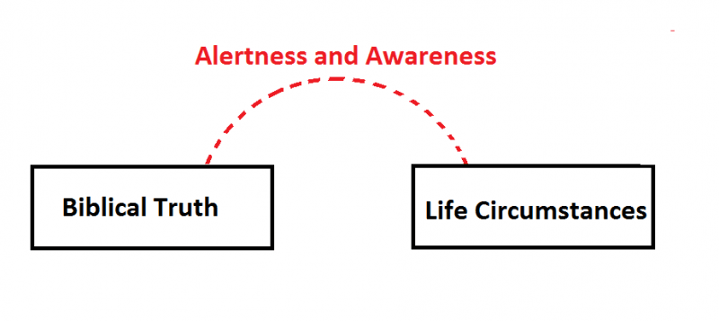 alertness and awareness